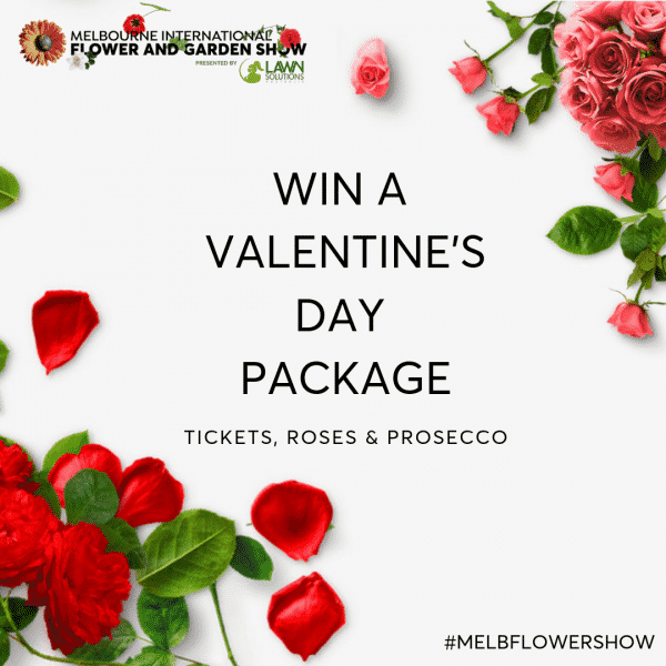 WIN a Valentine’s Day package