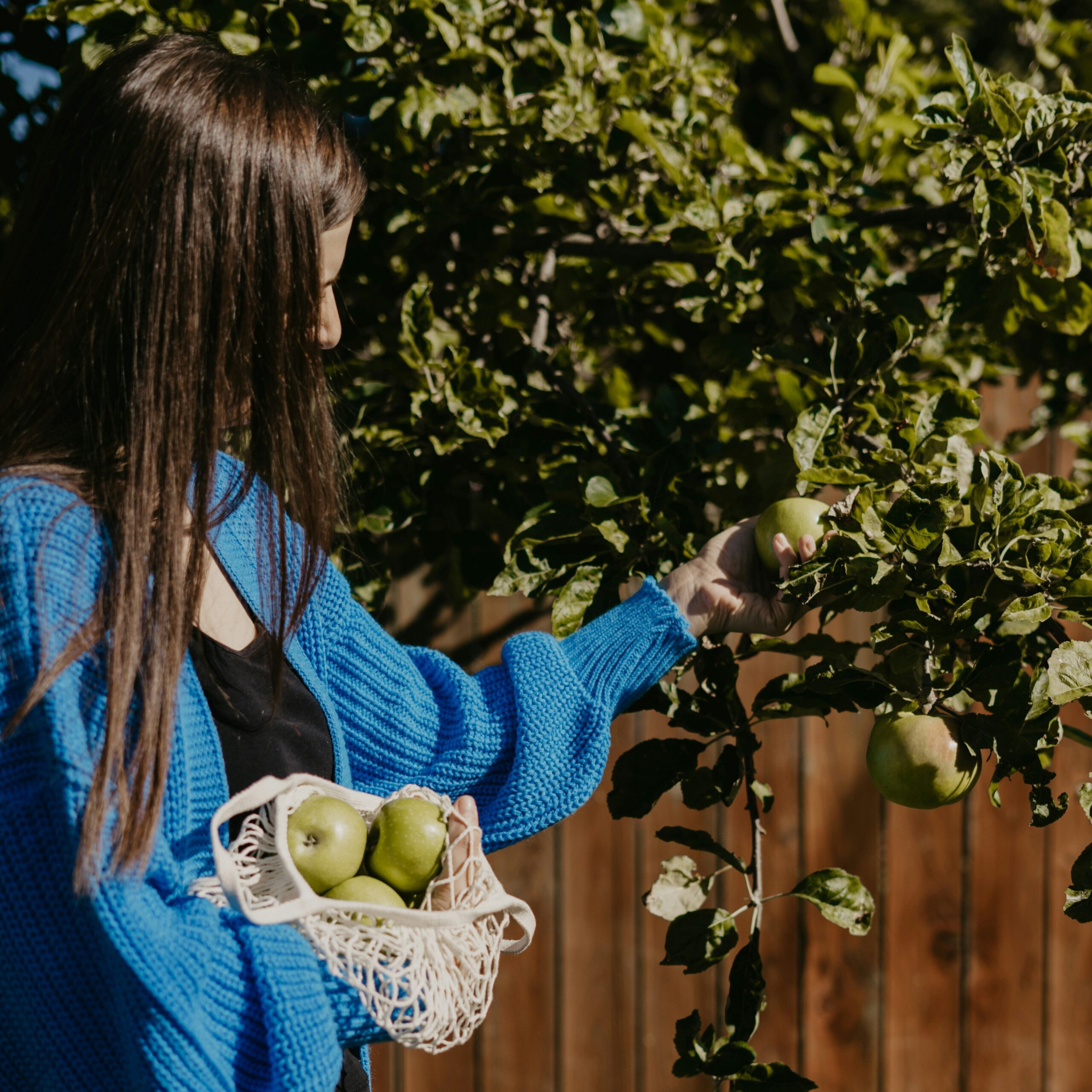 Get the Most Out of Your Apple & Stonefruit Trees at Home