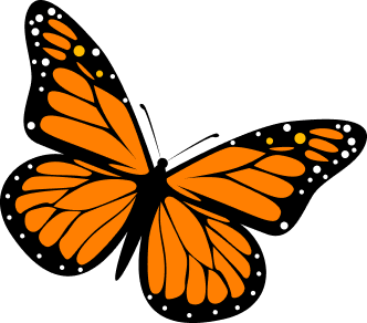 butterfly